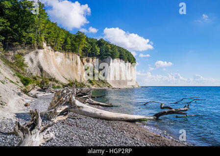 Falaises de craie au Parc National de Jasmund, près de Königsstuhl (Président) du Roi sur l'île de Rügen, Mecklenburg-Vorpommern, Allemagne Banque D'Images