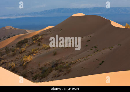 Le chant des dunes au Kazakhstan Banque D'Images