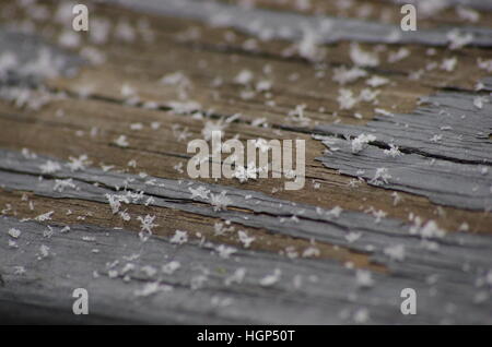 Macro détaillée flocons sur rail en bois avec peinture écaillée Banque D'Images