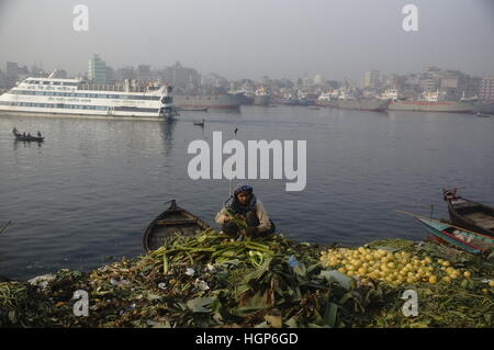 Dhaka, Bangladesh. Jan 11, 2017. Une femme est la collecte des déchets de légumes à partir d'un champ près de la rivière Buriganga vieux de Dhaka. Credit : Md. Mehedi Hasan/Pacific Press/Alamy Live News Banque D'Images