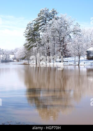Arbres se reflétant sur l'eau en hiver e Banque D'Images