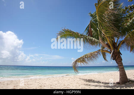 La mer turquoise et le sable doré sur la plage, Falmouth, Jamaïque, Caraïbes. Banque D'Images