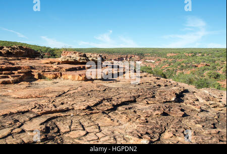 Des couches de grès roche au Z-bend lookout avec la brousse dans le Parc National de Kalbarri, Australie occidentale Banque D'Images