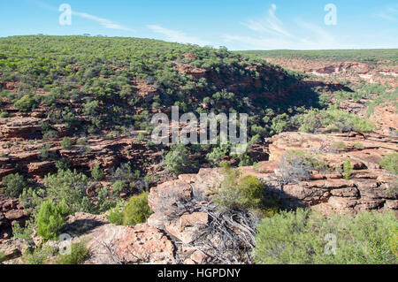 Portrait de les falaises de grès avec flore entourant la Murchison River gorge à Kalbarri, ouest de l'Australie. Banque D'Images