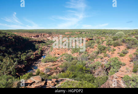 Une vue sur la Murchison River gorge à la Z-bend avec la brousse de la région de Kalbarri, ouest de l'Australie. Banque D'Images