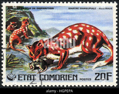 Un timbre-poste imprimé en Comores montre Martre marsupiale, 1980 Banque D'Images