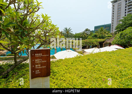 Piscine de l'hôtel dans le jardin des arbres tropicaux Banque D'Images