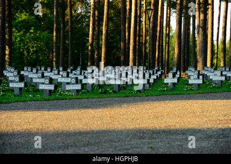 Rangées de croix en pierre dans un cimetière militaire, Kontiolahti, Finlande Banque D'Images