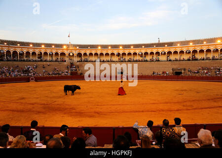 La tauromachie en Arène Espagnole Banque D'Images