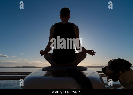 Silhouette homme méditation yoga on surfboard avec chien Banque D'Images