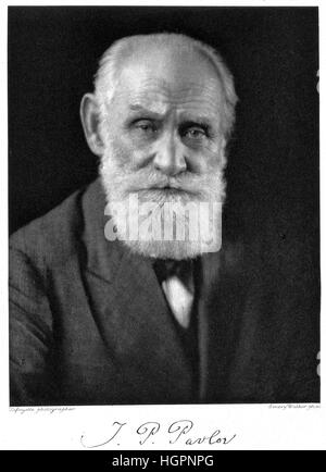 IVAN PAVLOV (1849-1936) Médecin russe à propos de 1935. Photo : Studio Lafayette Banque D'Images