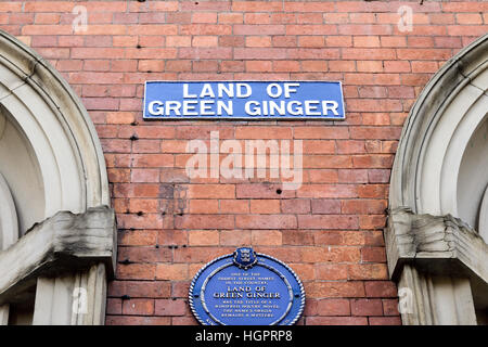 Kingston-uopn-Hull, East Riding of Yorkshire, UK.Terre de gingembre vert. Banque D'Images