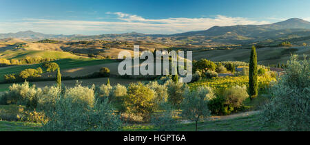 La fin de l'après-midi du soleil sur le Belvédère et la campagne du Val d'Orcia, près de San Quirico, Toscane, Italie Banque D'Images