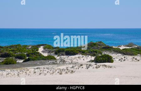 Paysage marin de l'Océan Indien turquoise avec des dunes côtières et la flore sous un ciel clair à la Lancelin, l'ouest de l'Australie. Banque D'Images