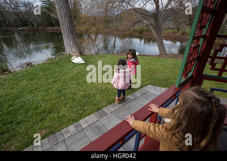 Petite fille, de petites filles, jeunes filles, jeunes filles, fille, filles, jardin chinois, entreprise vinicole Chateau Montelena, calistoga, Napa Valley, Californie Banque D'Images