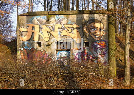 Bunker dans la forêt Banque D'Images