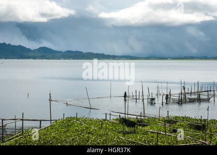 Une ferme piscicole et des paysages du lac Tondano, en avant-plan de la jacinthe d'eau, une espèce envahissante de plantes d'eau douce, dans le nord de Sulawesi, en Indonésie. Banque D'Images