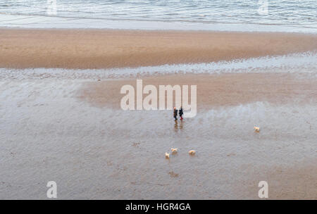 L'homme et la femme à la plage, à Whitby, North Yorkshire, England, Royaume-Uni avec leurs quatre chiens. Banque D'Images