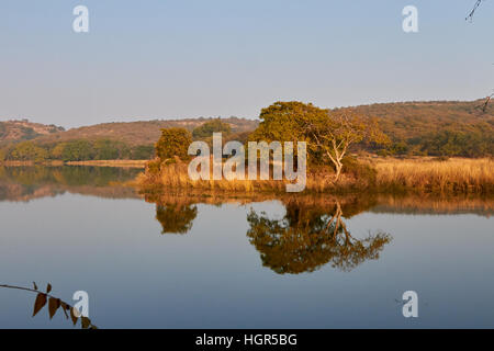 Lake dans le parc national de Ranthambhore Banque D'Images