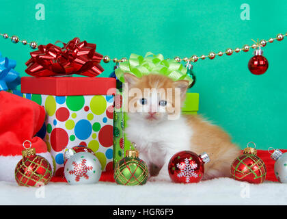 Adorable aux longs cheveux orange et blanc tabby kitten assis à côté des cadeaux de Noël avec des ornements de vacances, fond vert avec copie espace. Banque D'Images
