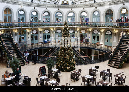 02/12/16, Leeds, Royaume-Uni. Un arbre de Noël et décorations festives ornent la Corn Exchange à Leeds, West Yorkshire. Le mois de décembre arrive dans UK les consommateurs sont Banque D'Images