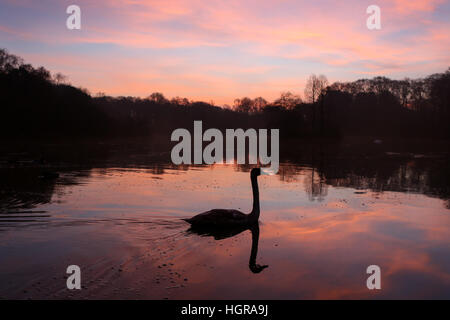 Le soleil se lève sur le lac à Golden Acre Park sur un froid matin d'hiver dans la ville de Leeds. Banque D'Images