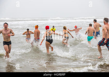 Le Nouvel An traditionnel du Nouvel An, une baignoire dans la mer du Nord, Bergen aan Zee, Hollande du Nord, des nageurs, Banque D'Images