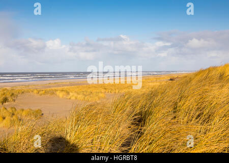 Paysage de dunes, Nordseedeich Hondsbossche Zeewering,, entre les villages de Camperduin et Petten, dans Nordholland, 8 km de long avec une digue de 250 mètres, Banque D'Images