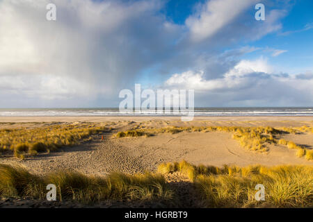 Paysage de dunes, Nordseedeich Hondsbossche Zeewering,, entre les villages de Camperduin et Petten, dans Nordholland, 8 km de long avec une digue de 250 mètres, Banque D'Images