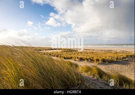 Paysage de dunes, Nordseedeich Hondsbossche Zeewering,, entre les villages de Camperduin et Petten, dans Nordholland, 8 km de long avec une digue de 250 mètres, Banque D'Images