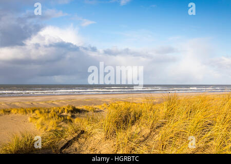 Paysage de dunes, Nordseedeich Hondsbossche Zeewering,, entre les villages de Camperduin et Petten, dans Nordholland, 8 km de long avec une digue de 250 mètres, Banque D'Images