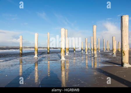 Art, art installation "Petten dans Palen' sur la côte nord de Petten, Hollande du Nord, 160 pieux en bois, la silhouette de l'ancien village chu Banque D'Images