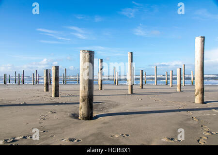 Art, art installation "Petten dans Palen' sur la côte nord de Petten, Hollande du Nord, 160 pieux en bois, la silhouette de l'ancien village chu Banque D'Images