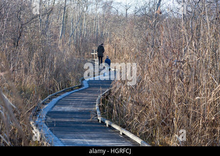 Mère et enfant / enfant / kids filles sur voie passerelle sentier sentier Marais de Lavours Réserve naturelle nationale. France Banque D'Images