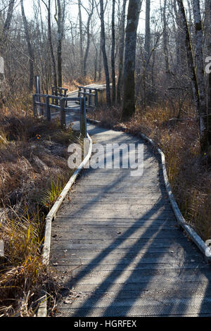 Voie de Passage / pied / chemin / sentier de promenade touristes / les randonneurs en marais de Lavours Réserve naturelle nationale, Ain, France Banque D'Images