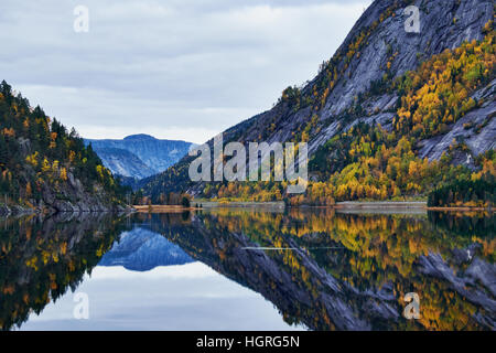 Du côté de la montagne avec la mise en miroir de la végétation de l'arbre complètement dans la mer calme dans un lac en Norvège Banque D'Images