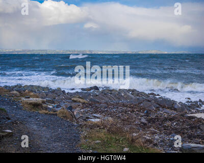 Groomsport, Bangor, Irlande du Nord, Royaume-Uni. 13 jan, 2017. Une mer avec vue sur le lac de Belfast vers le sud de la bouée briggs seascape, le fracas des vagues, des chevaux blancs Stormy Weather, d'avertissement jaune meteorological office © Jeffrey silvers/Alamy live news Banque D'Images