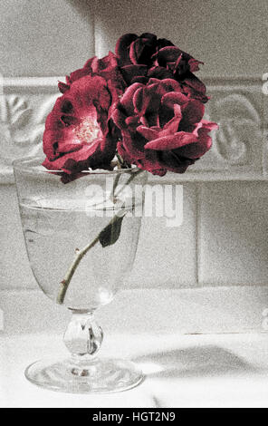 Roses rouges dans un vase. Ils ont perdu de vue. granuleuse Banque D'Images
