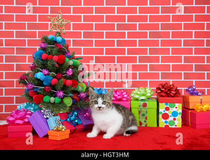 Noir, brun et blanc tabby kitten à la visionneuse ci-dessus, accroupi sur le tapis de fourrure rouge par l'arbre de Noël, décoré avec des boules de fils et de lumières, avec pré Banque D'Images