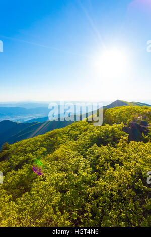 Vue depuis la montagne de la vallée d'viewpont Jirisan ci-dessous, à la recherche dans le soleil sur une journée de printemps, en Corée du Sud. La verticale Banque D'Images