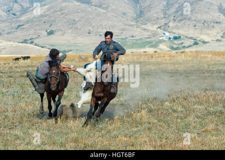 Kokpar traditionnels ou buzkashi dans la périphérie de Gabagly parc national, Shymkent, Kazakhstan, Région du Sud, l'Asie centrale Banque D'Images