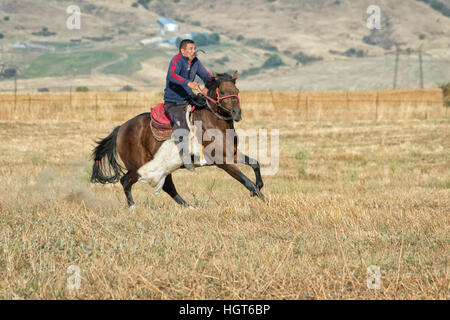 Kokpar traditionnels ou buzkashi dans la périphérie de Gabagly parc national, Shymkent, Kazakhstan, Région du Sud, l'Asie centrale Banque D'Images