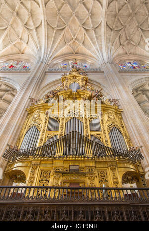 SEGOVIA, ESPAGNE, avril - 15, 2016 : Les organes et voûte gothique de cathédrale Nuestra Señora de la Asunción y de San Frutos de Segovia. Banque D'Images