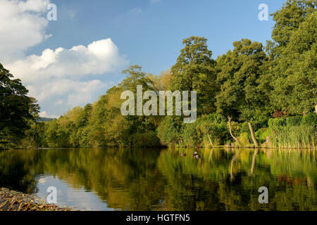 Grand étang sur la rivière Derwent Derbyshire, Angleterre Banque D'Images
