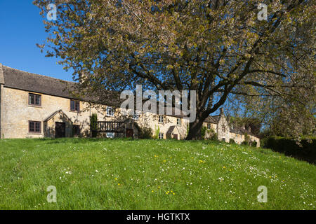 Cotswold stone cottages typiques sur la place du village encadrée par un cerisier, vaste Campden, Cotswolds, Gloucestershire, Angleterre Banque D'Images