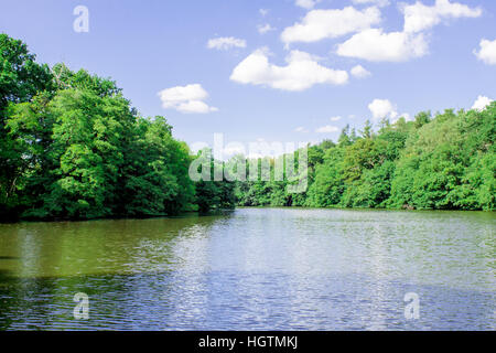 De belles vues sur le lac de l'eau Virginie dans le Windsor Great Park à Windsor Banque D'Images