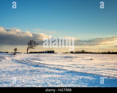 Coucher du soleil sur la neige en hiver arbres neige froid lueur orange terrain clôture Banque D'Images