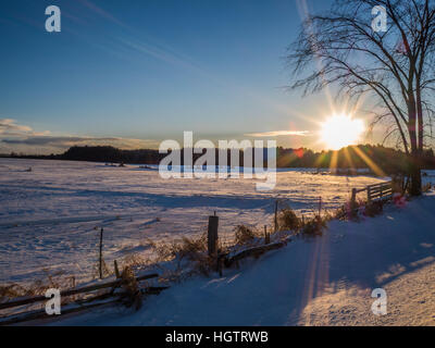 Coucher du soleil sur la neige en hiver arbres neige froid lueur orange Banque D'Images