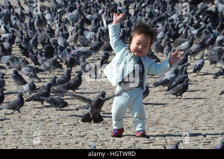 Enfant ou jeune enfant jouant avec des centaines de pigeons en Mongolie dans un carré Banque D'Images