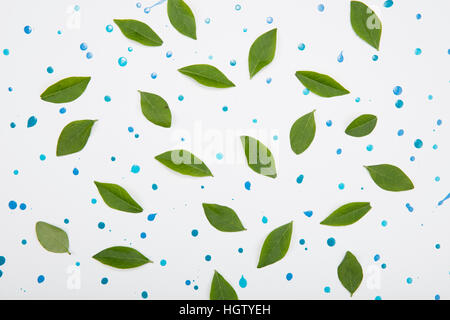 Les modèles de feuilles vertes Banque D'Images